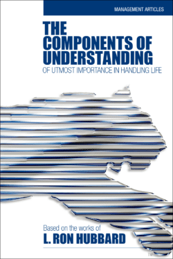 The Components of Understanding