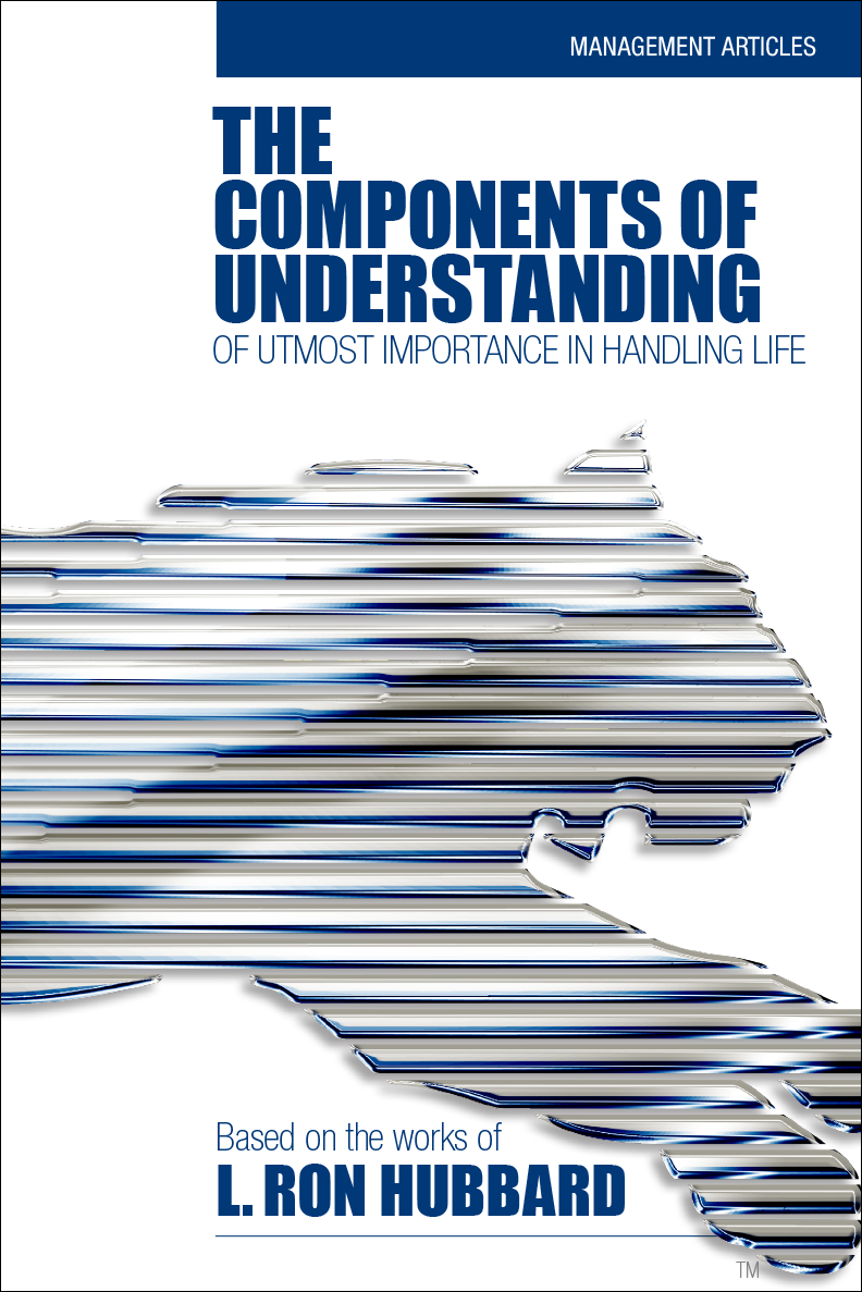 The Components of Understanding